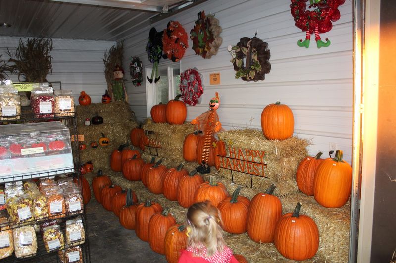 Jason’s Pumpkin Patch in Oak Harbor Jason’s Pumpkin Patch in Oak Harbor