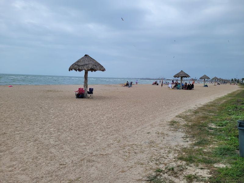 Jellyfish-Friendly Swimming Options