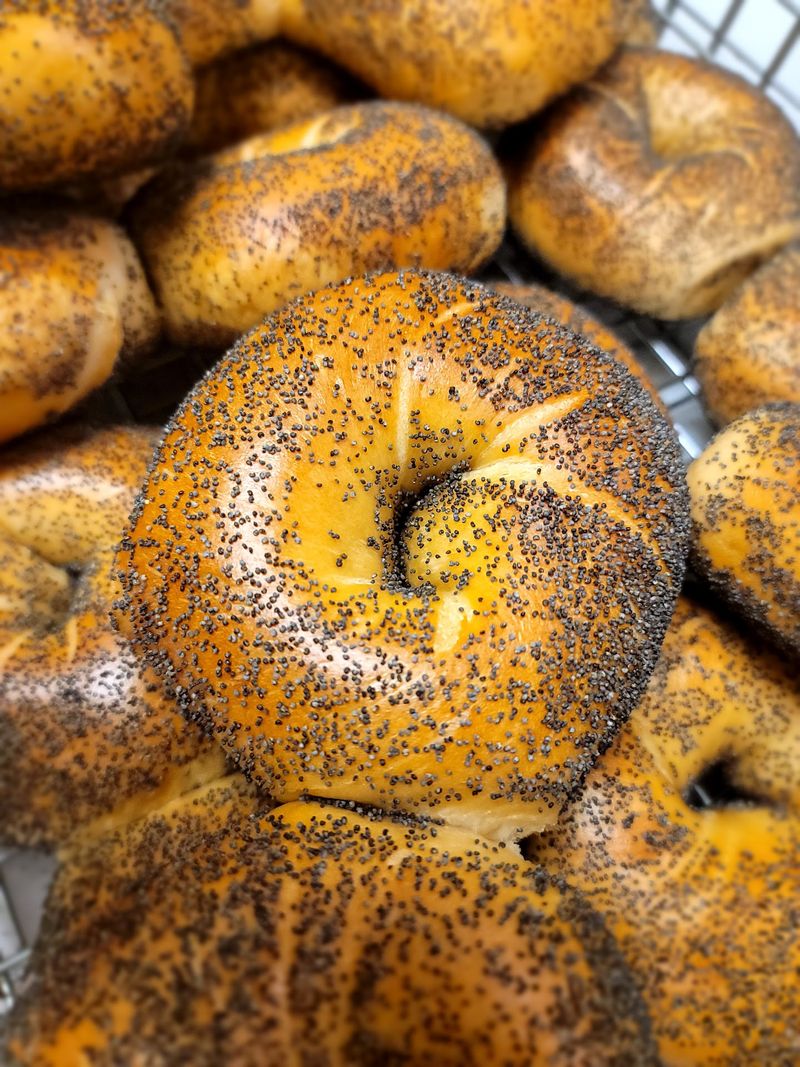 Jersey Bagels (Cypress)