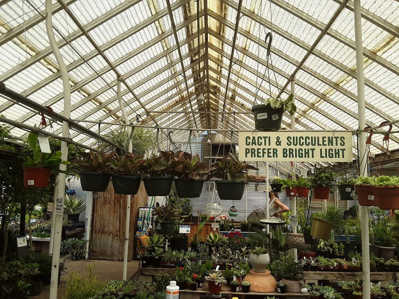Growing Smart in Colorado's Tricky Climate
