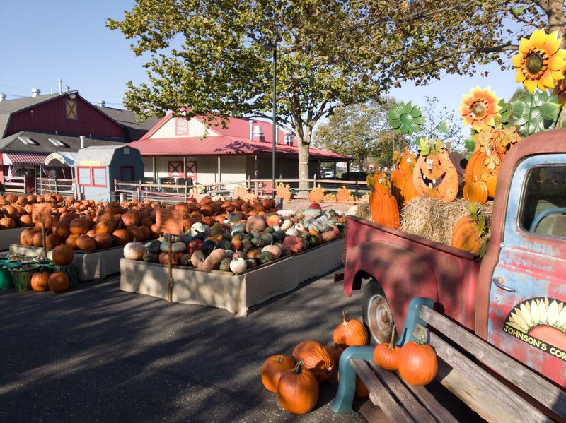 Johnson's Corner Farm - Medford