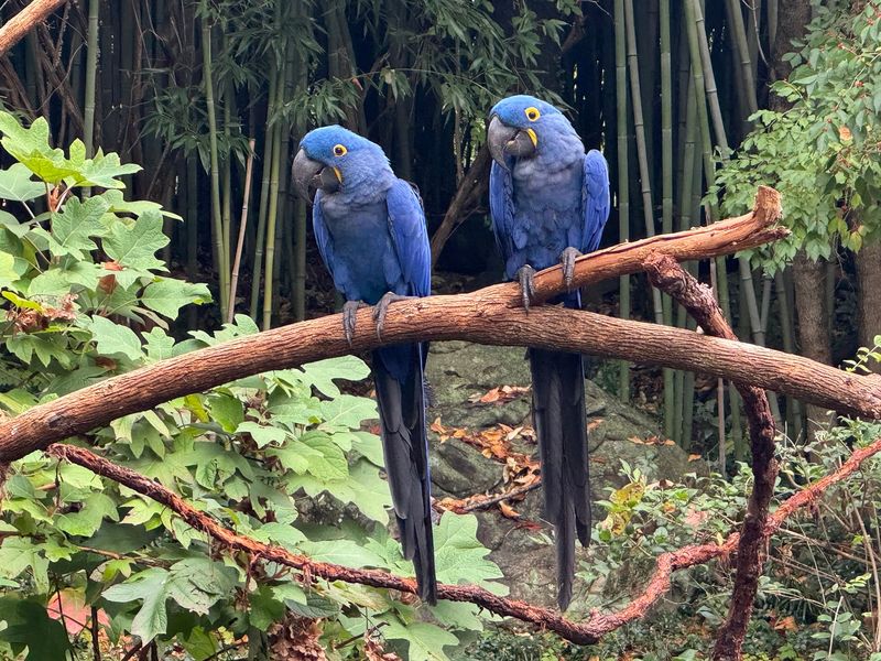 Nashville Zoo at Grassmere – Nashville Nashville Zoo at Grassmere – Nashville