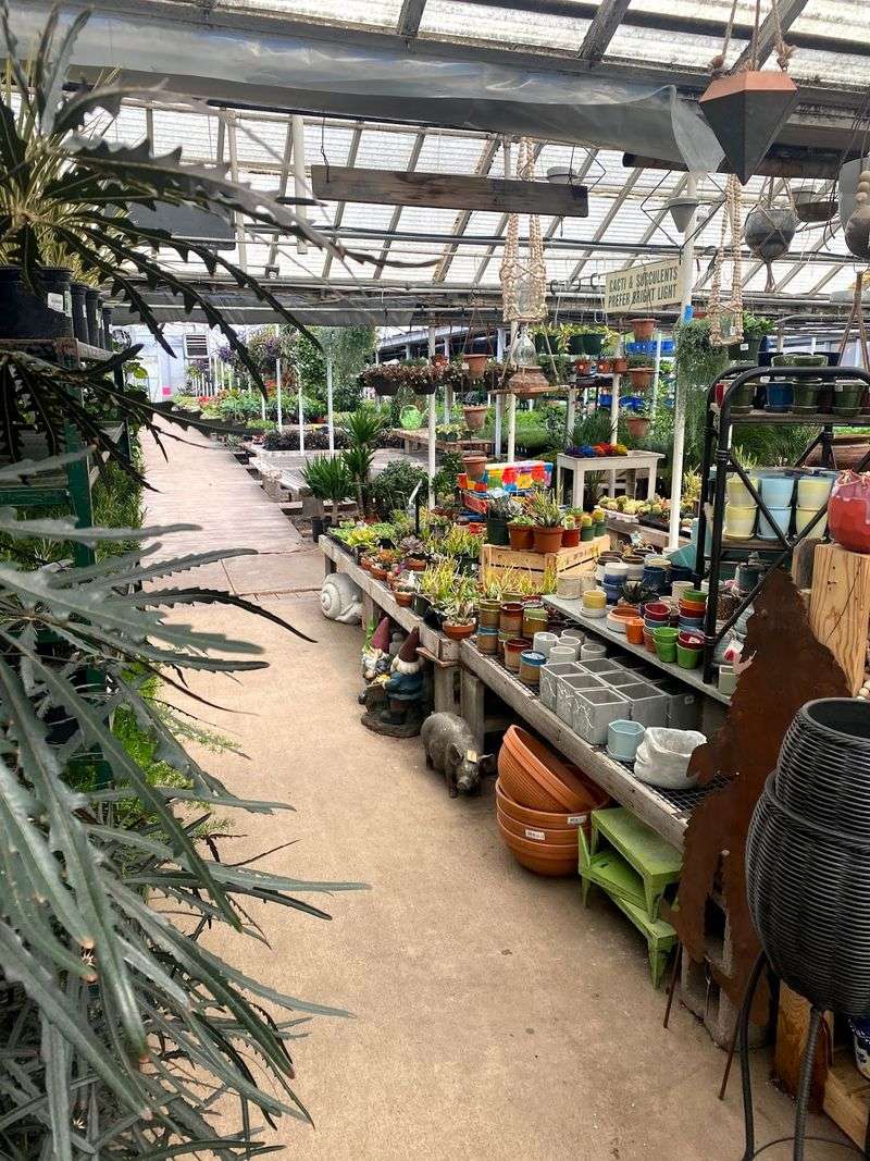 Houseplant Heaven and a Wall of Pots