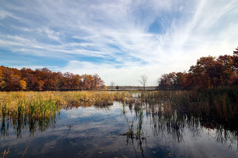 Kensington Metropark Nature Trails - Milford