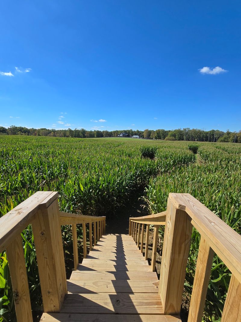 Kimbro Farms Autumn Daze Corn Maze in Crossville