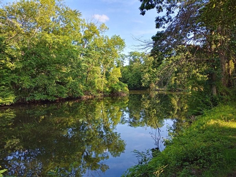 Kingston to Griggstown