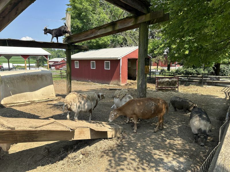 Klein Farms Dairy & Creamery, Easton Klein Farms Dairy & Creamery, Easton
