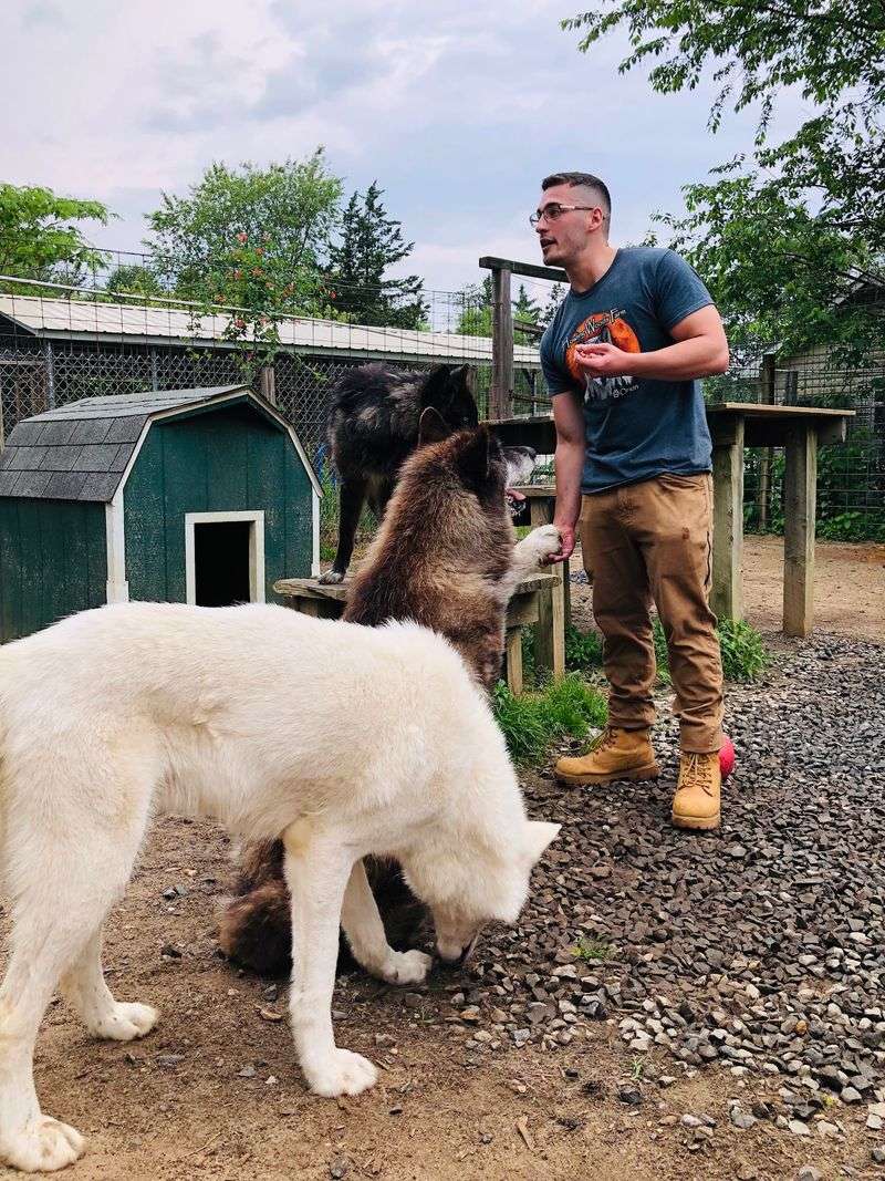 Knowledgeable Volunteers Introduce Every Animal’s Personality