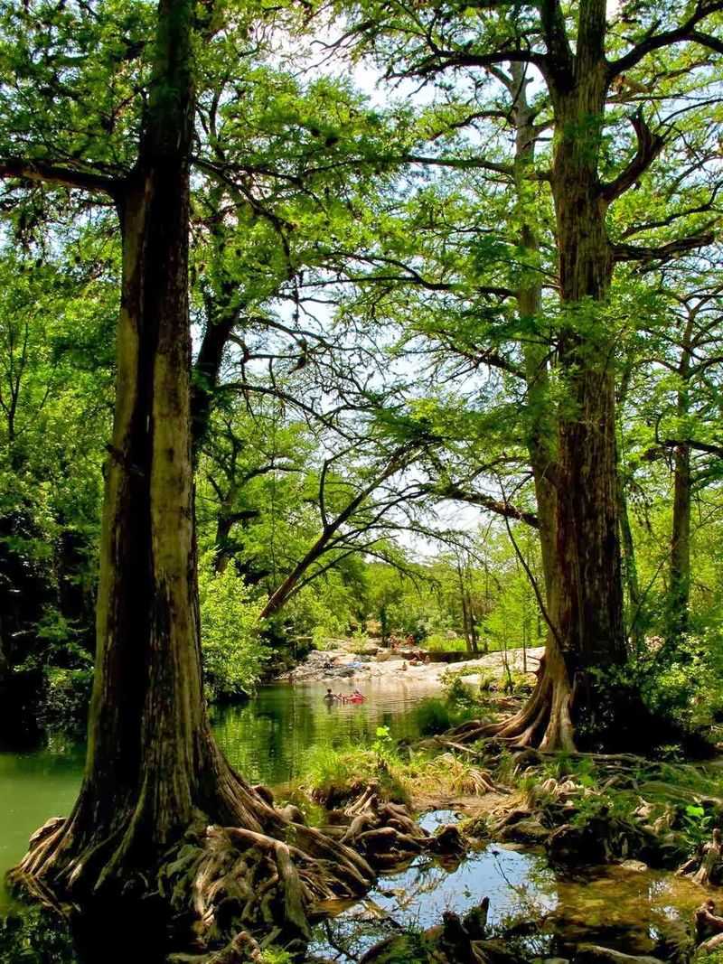 Krause Springs (Spicewood)