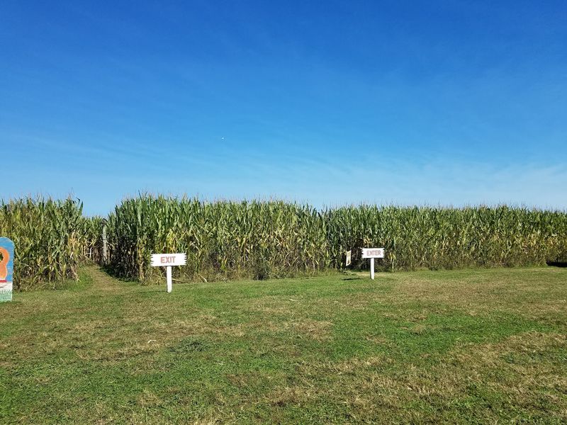 Kyker Farms Corn Maze in Sevierville