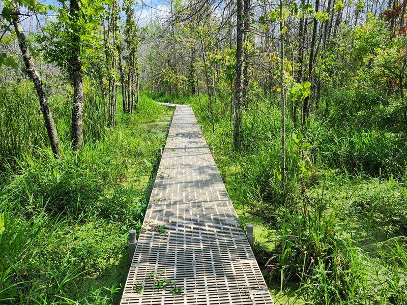 Beanblossom Bottoms Nature Preserve (Ellettsville) Beanblossom Bottoms Nature Preserve (Ellettsville)
