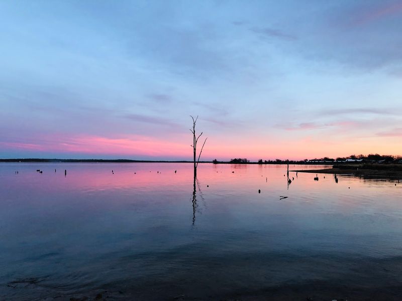 Lake Fork (Quitman) Lake Fork (Quitman)