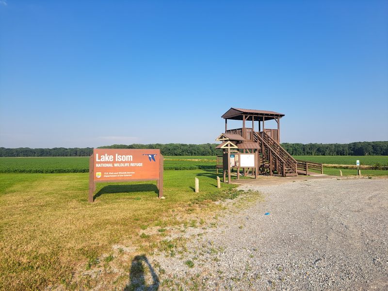 Lake Isom National Wildlife Refuge, Tiptonville Lake Isom National Wildlife Refuge, Tiptonville