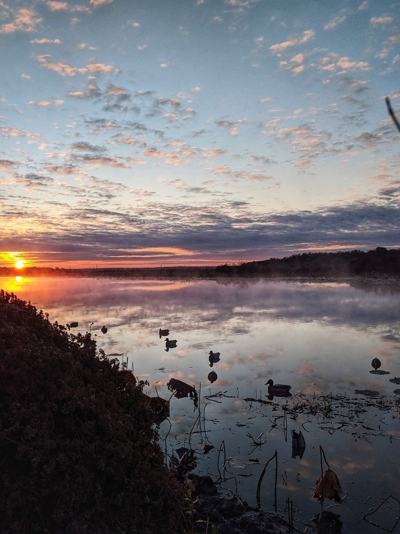 Lake Tawakoni (Wills Point) Lake Tawakoni (Wills Point)