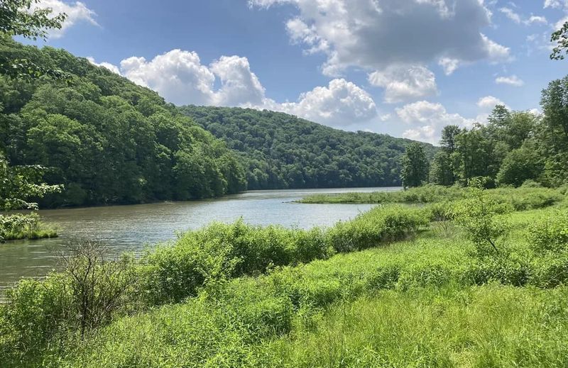 Lake Trail at Laurel Hill State Park in Somerset