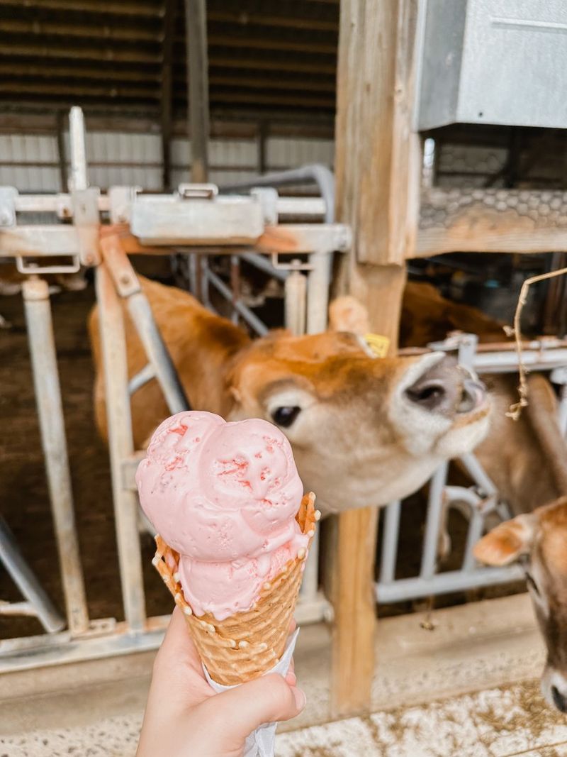 Lapp Valley Farm