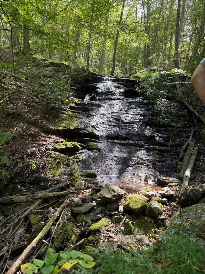 Laurel Falls and Sunfish Pond Loop - Hardwick Township