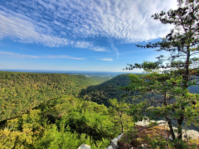 Laurel-Snow Trail to Buzzard Point, Dayton