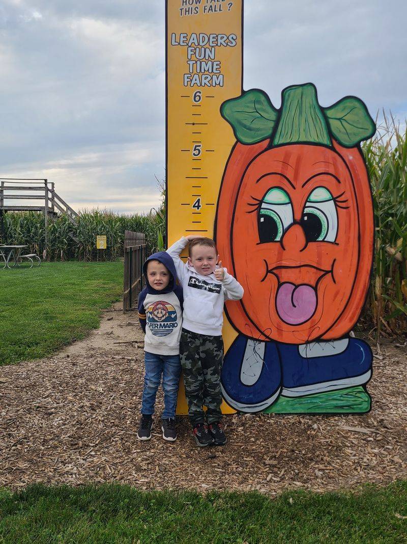 Leaders Farms, Napoleon Leaders Farms, Napoleon