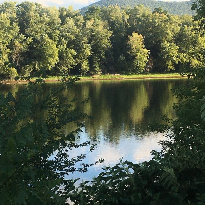 Let the River Set the Scene Let the River Set the Scene