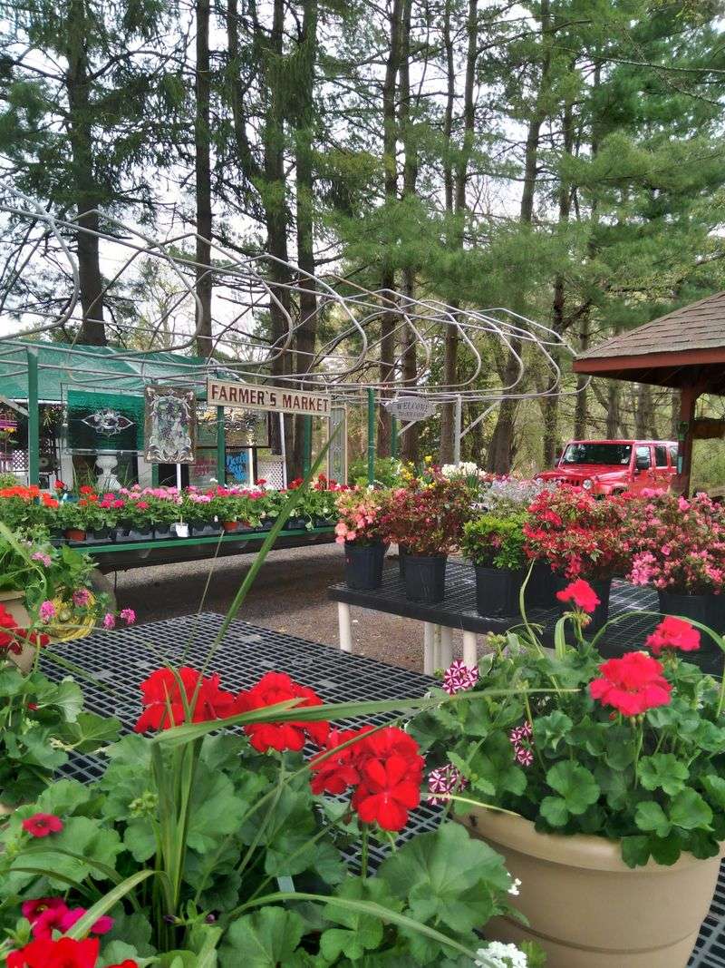 Lew's Farm Market - Moorestown Lew's Farm Market - Moorestown