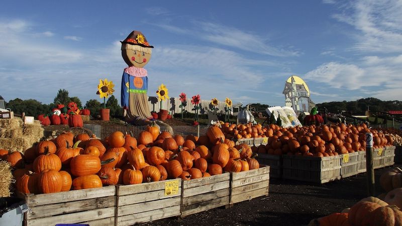 Linvilla Orchards, Media Linvilla Orchards, Media