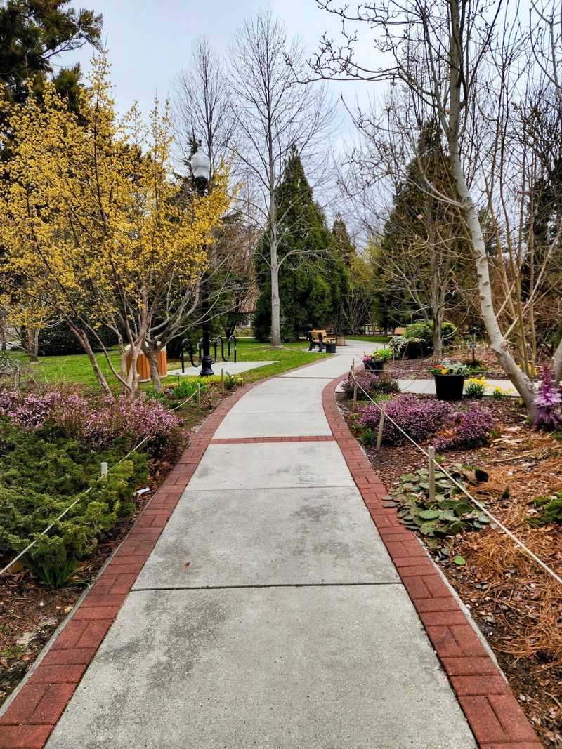 Linwood Arboretum Packs Remarkable Beauty Into Less Than an Acre