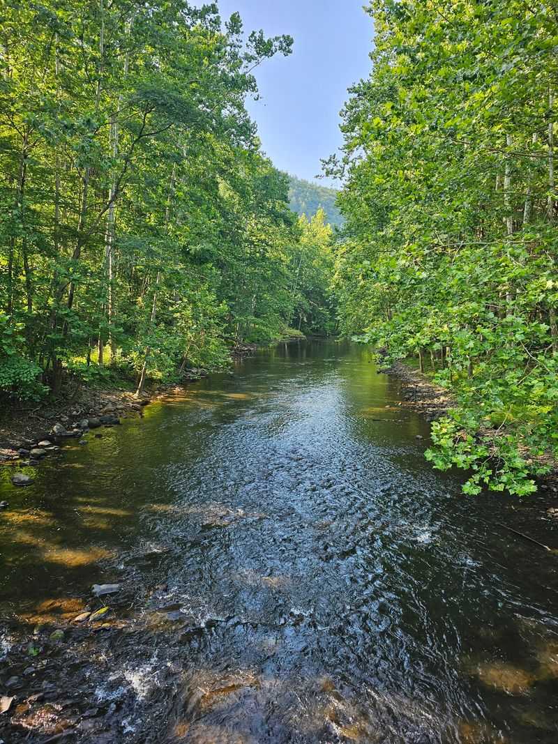 Little Pine Creek Brings Sound, Shade, And Easy Wandering Little Pine Creek Brings Sound, Shade, And Easy Wandering