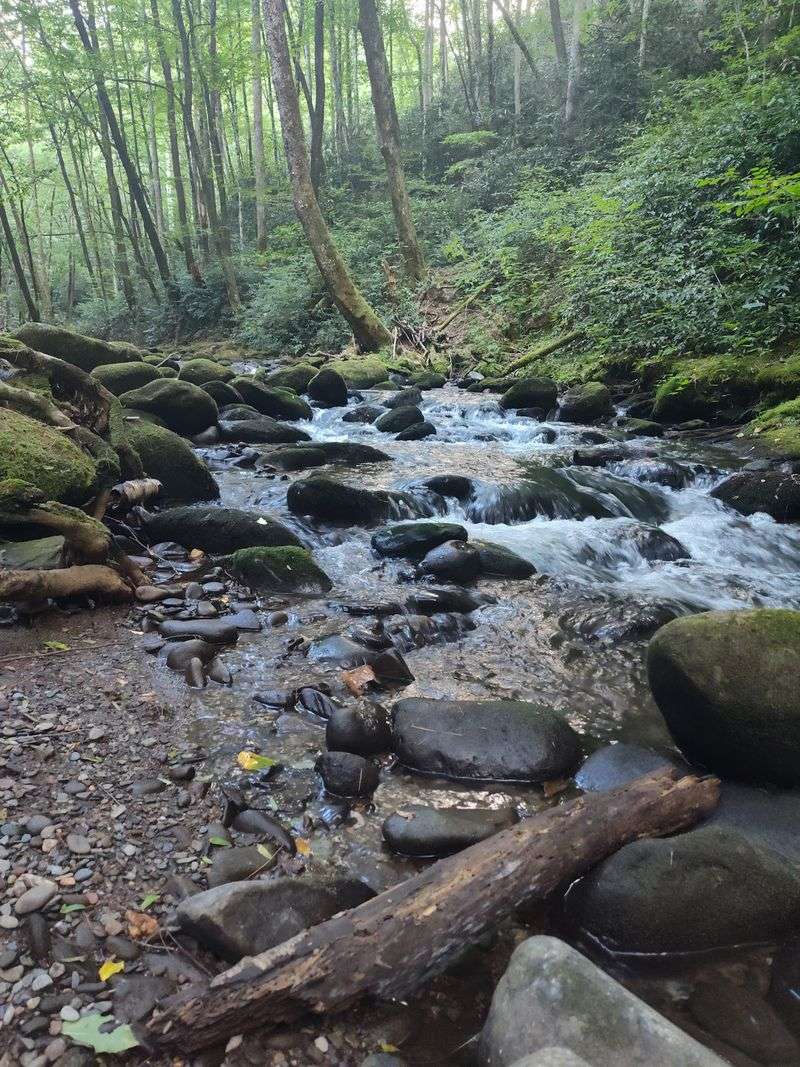 Little River, Cucumber Gap, Jakes Creek Loop, Elkmont Little River, Cucumber Gap, Jakes Creek Loop, Elkmont