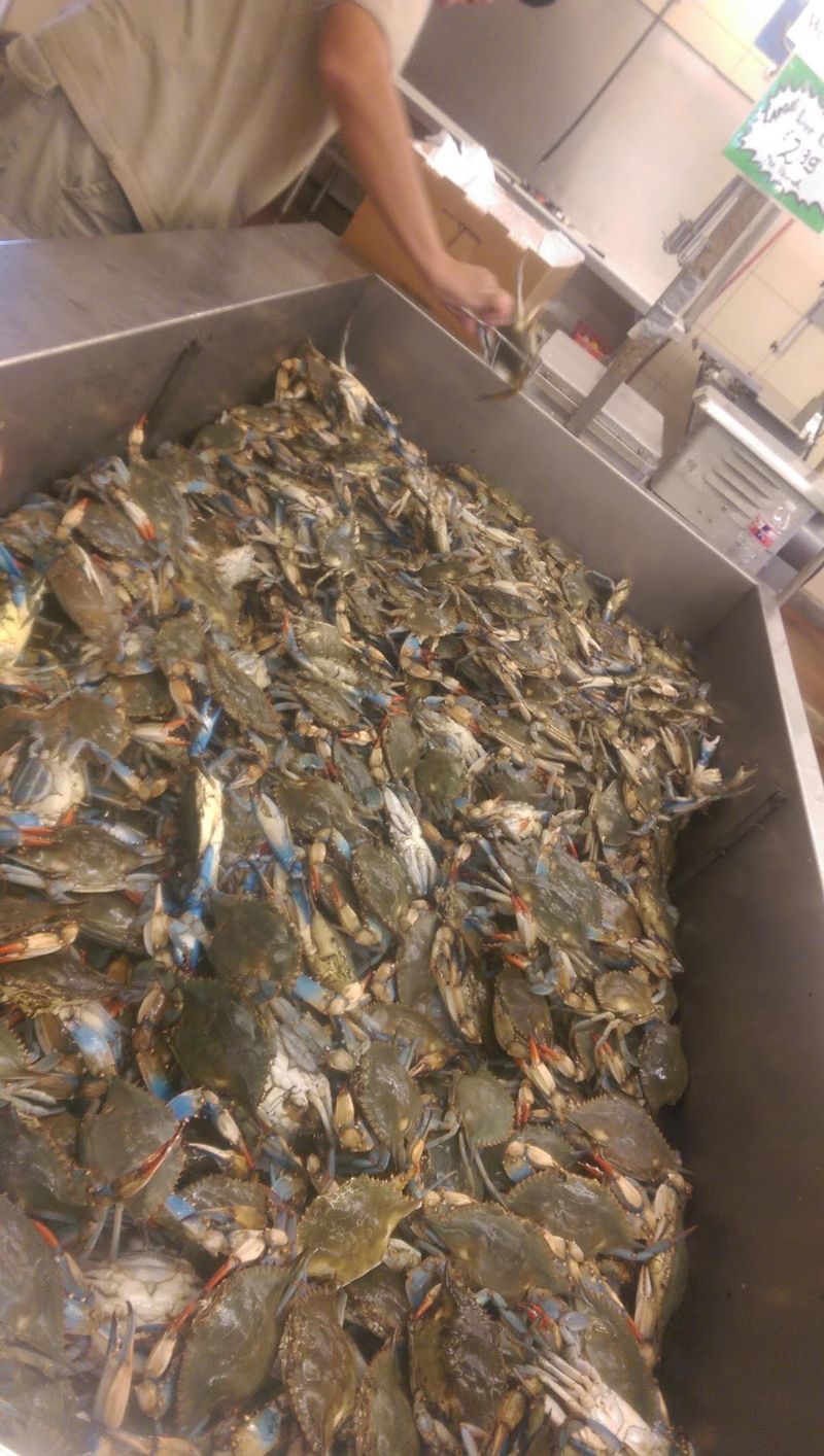 Live Crabs During Season That Seafood Lovers Dream About Live Crabs During Season That Seafood Lovers Dream About