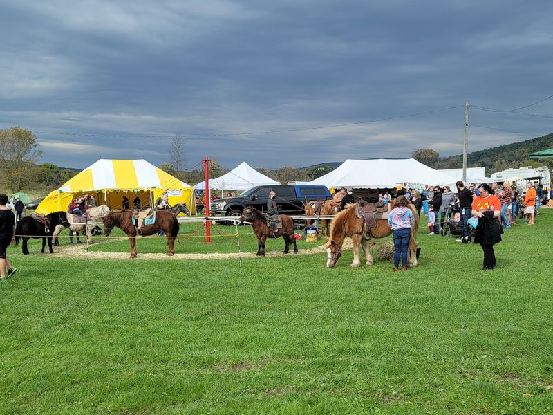 Live Entertainment and Community Spirit Live Entertainment and Community Spirit