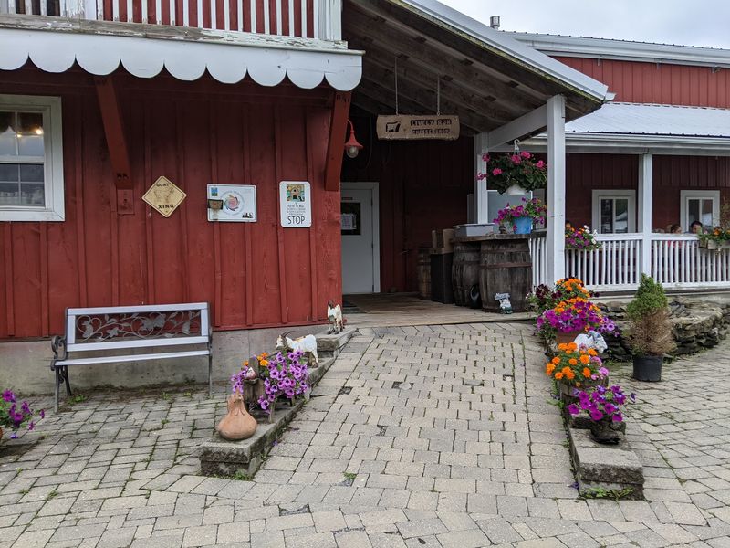 Lively Run Dairy