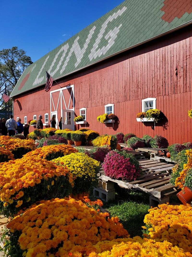 Long Family Orchard & Farm - Commerce Township Long Family Orchard & Farm - Commerce Township
