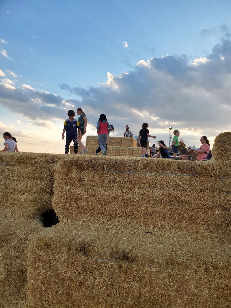 Look for Seasonal Farm Fun