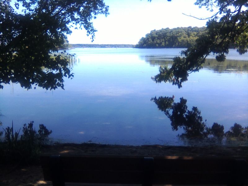 Lost Lake Trail - Ludington Lost Lake Trail - Ludington
