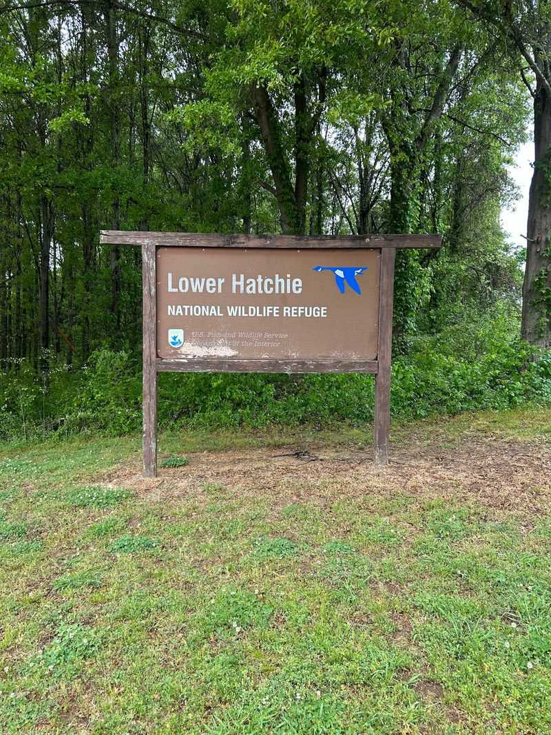 Lower Hatchie National Wildlife Refuge, Henning Lower Hatchie National Wildlife Refuge, Henning