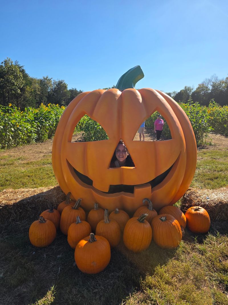 Lucky Ladd Farms Fall Harvest Festival - Eagleville Lucky Ladd Farms Fall Harvest Festival - Eagleville