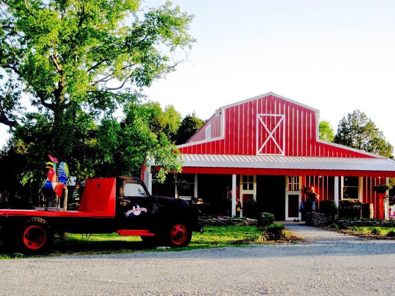 Lucky Ladd Farms Farm Park & Zoo in Eagleville