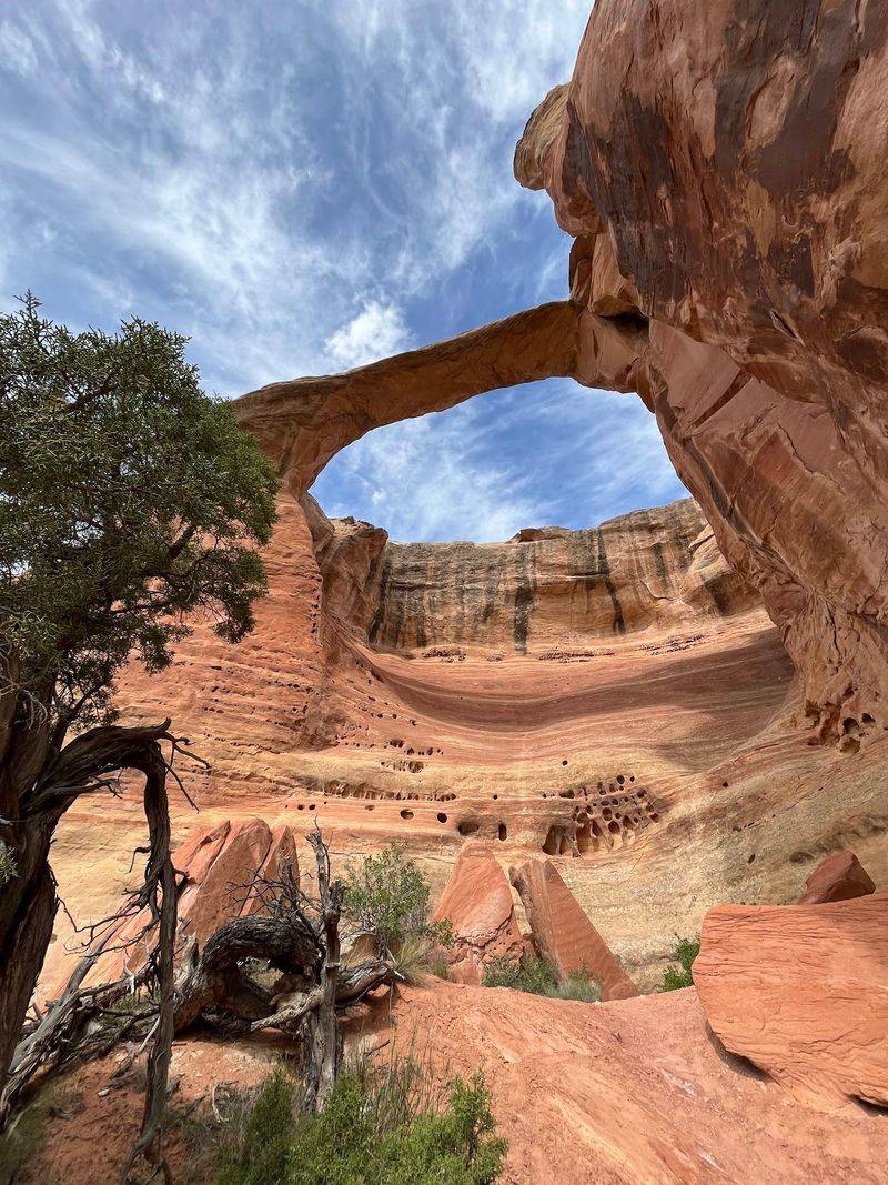 Rattlesnake Arches Rattlesnake Arches