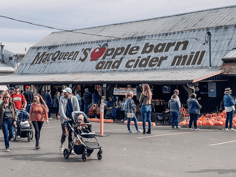 MacQueen Orchards – Holland