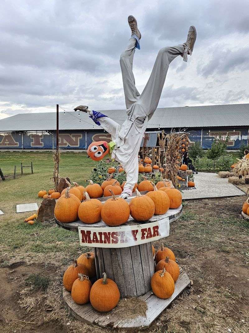 Mainstay Farm (Cleburne)