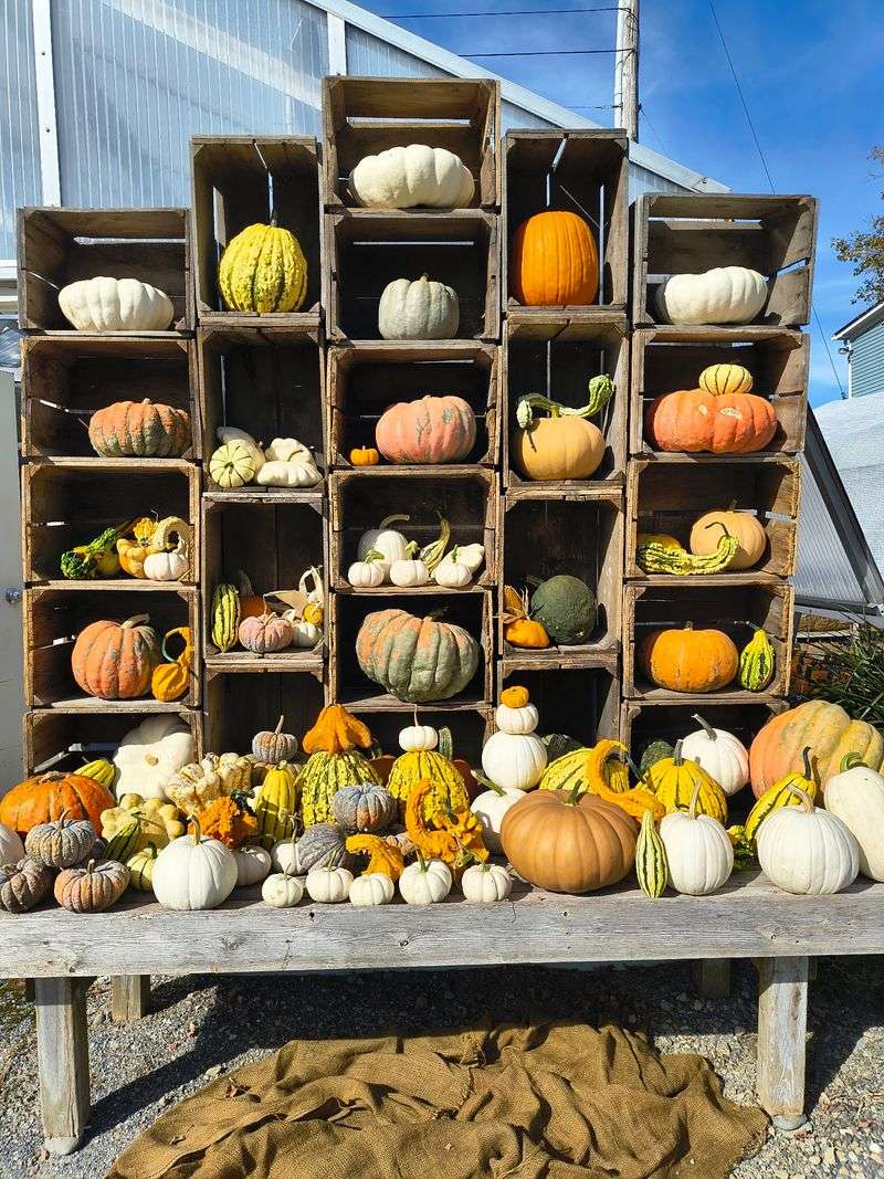 Manchester, Vermont