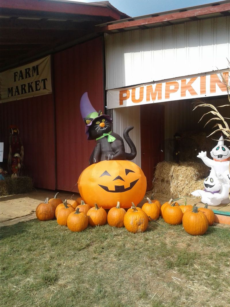 Maple Lane Farms in Greenback Maple Lane Farms in Greenback
