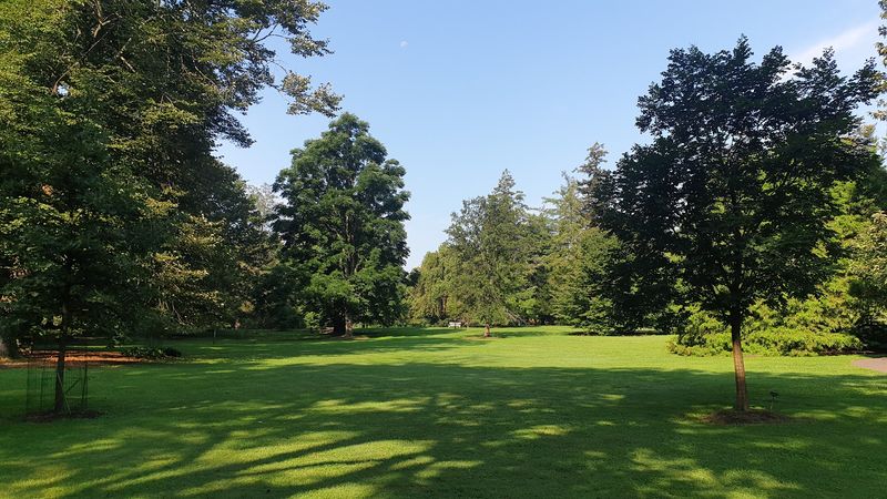 Marquand Park - Princeton