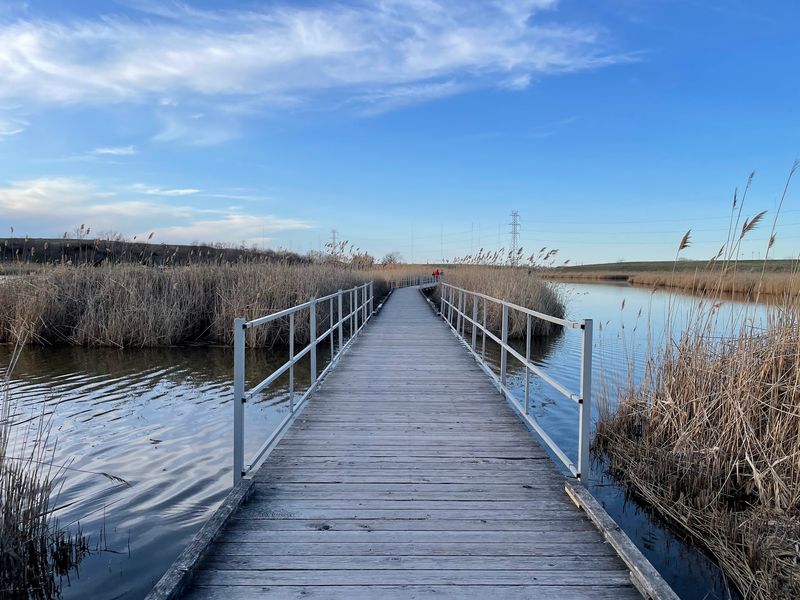 Marsh Discovery Trail - Richard W. DeKorte Park, Lyndhurst Marsh Discovery Trail - Richard W. DeKorte Park, Lyndhurst