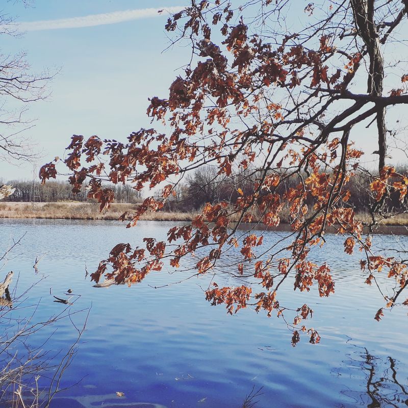 Marshall's Riverwalk - Kalamazoo River, Marshall Marshall's Riverwalk - Kalamazoo River, Marshall