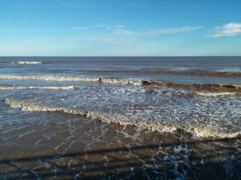 Matagorda Matagorda