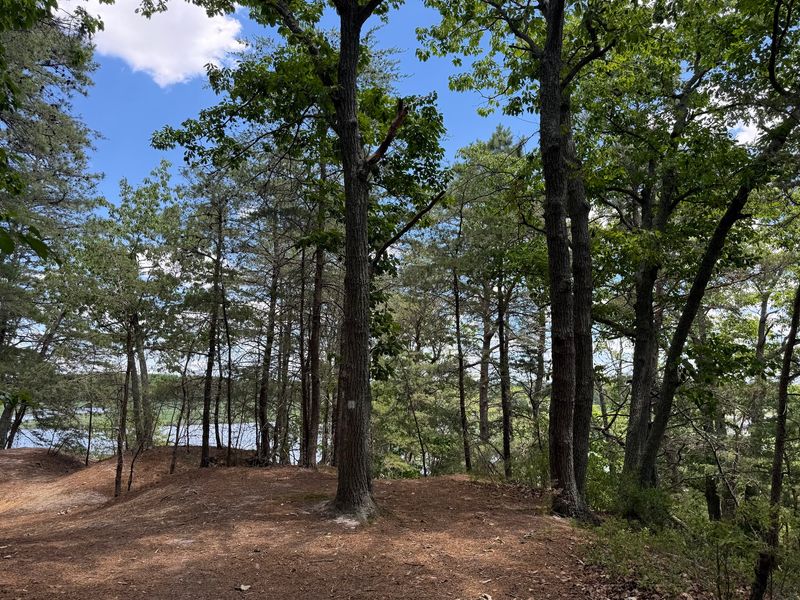 Maurice River Bluffs Nature Preserve - Millville