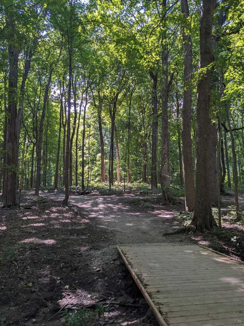 Maybury State Park Hiking Trails - Northville