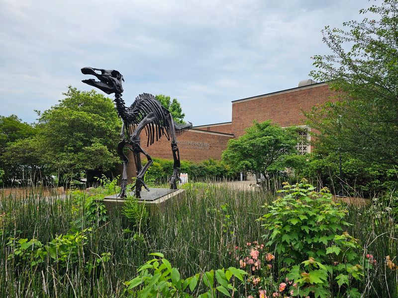 McClung Museum of Natural History & Culture - Knoxville